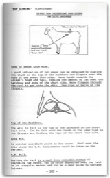1994 Page 089